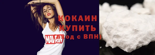 амф Бронницы