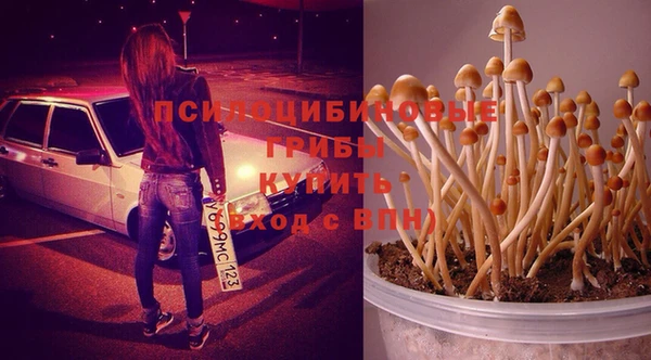марихуана Володарск