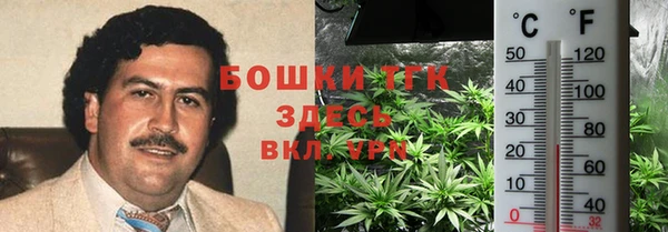 амф Бронницы