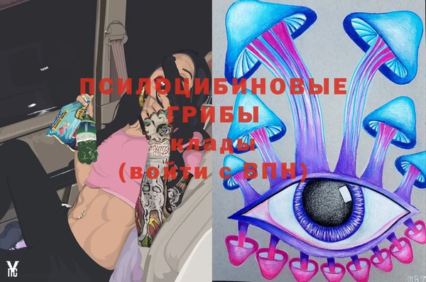 MDMA Бородино