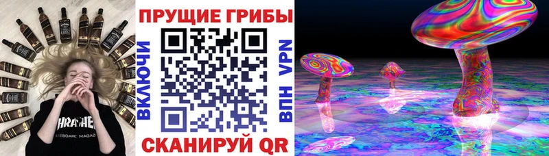 даркнет сайт  Данилов  Галлюциногенные грибы GOLDEN TEACHER 